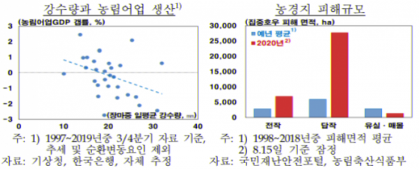 ▲장마에 따른 농림어업 생산 및 피해 규모 (자료제공=한국은행)