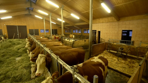 ▲EBS'세계테마기행' 오스트리아(사진제공=EBS1)