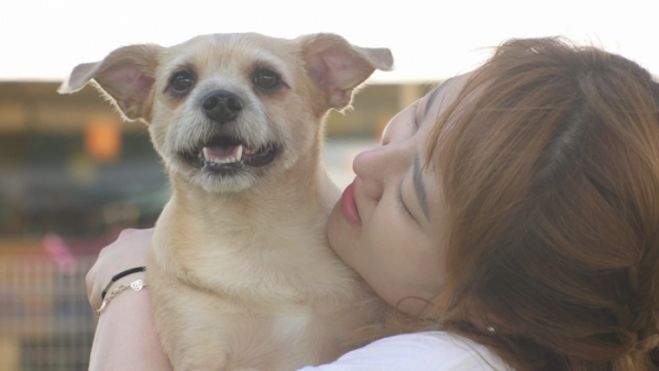 ▲'TV동물농장' 낑꽁이(사진제공=SBS)