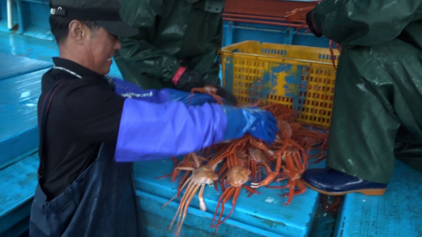 ▲'다큐멘터리 3일' 주문진 수산시장(사진제공=KBS 2TV)