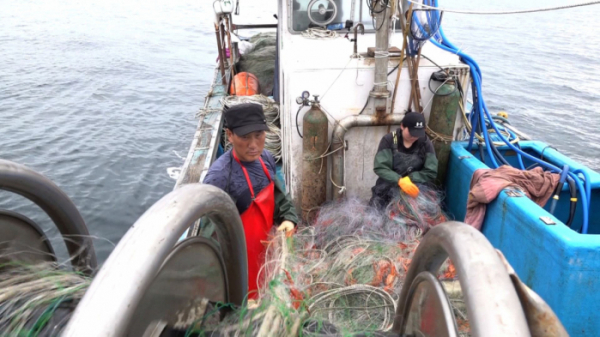 ▲'다큐멘터리 3일' 주문진 수산시장(사진제공=KBS 2TV)