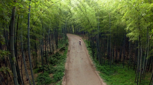 ▲EBS'세계테마기행'(사진제공=EBS1)