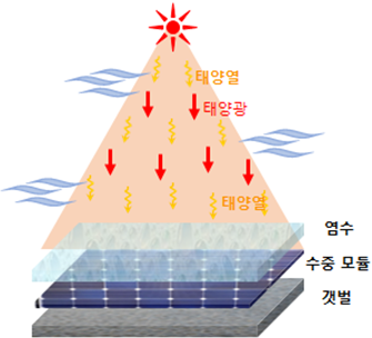 ▲염전 태양광 모듈 배치 (사진제공=한국전력)