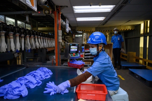 ▲말레이시아 쿠알라룸푸르 외곽에 위치한 고무장갑 생산업체 탑글로브 생산공장에서 노동자가 작업을 하고 있다. 쿠알라룸푸르/AFP연합뉴스
