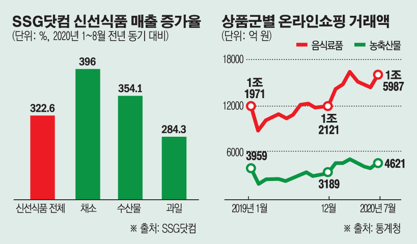 (그래픽=손미경 기자 sssmk@)