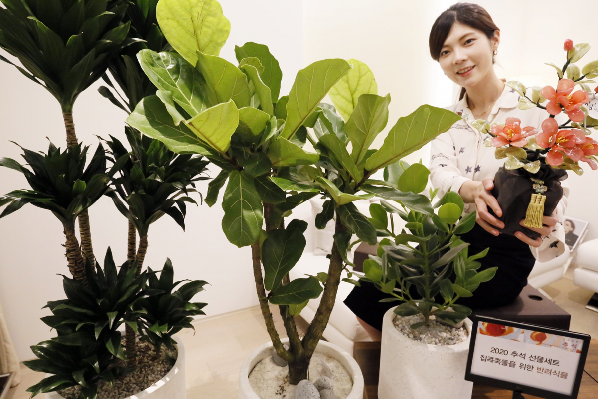 (사진제공=갤러리아백화점)