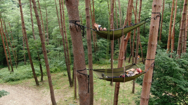 ▲EBS'한국기행' 강릉 아보리스트(사진제공=EBS1)