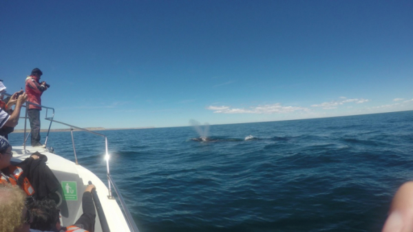 ▲'걸어서 세계속으로' 아르헨티나 푸에르토 피라미데스(사진제공=KBS 1TV)