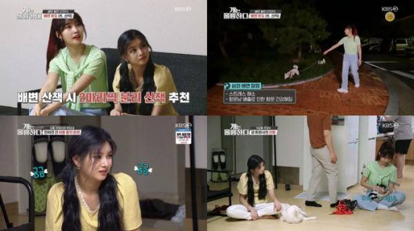 ▲'개는 훌륭하다' 에버글로우 시현X이런(사진제공=KBS 2TV)