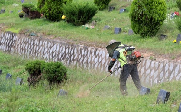 ▲경기 파주시 용미리제1묘지에서 관계자들이 벌초를 하고 있다.  (뉴시스)