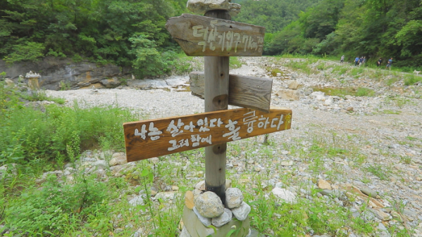 ▲EBS'한국기행' 정선 덕산기 계곡 숲속책방(사진제공=EBS1)