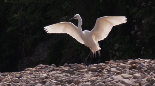 ▲‘와일드맵2’ (사진제공=KBS 1TV)