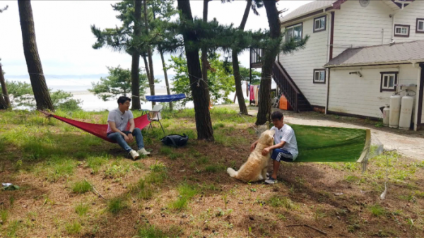 ▲'세상에 나쁜 개는 없다'(사진제공=EBS1)