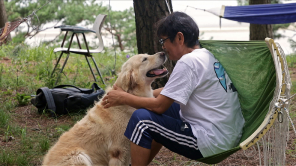 ▲'세상에 나쁜 개는 없다'(사진제공=EBS1)