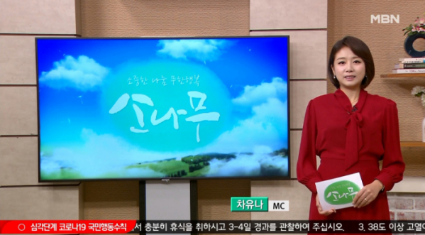 ▲MBN '소나무' (사진제공=MBN)