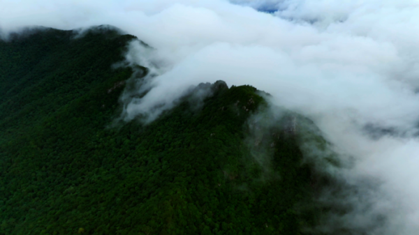 ▲'영상앨범 산' 지리산(사진제공=KBS 2TV)