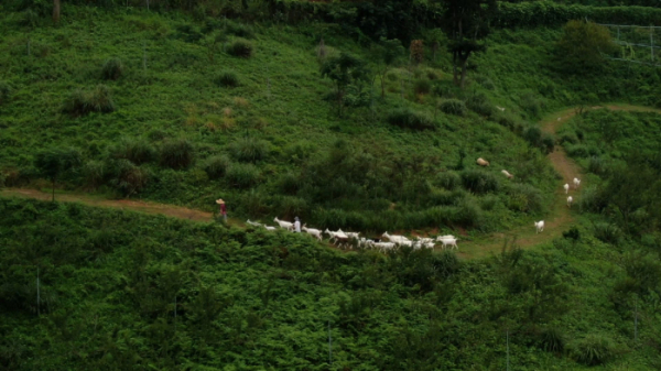 ▲EBS'한국기행'(사진제공=EBS1)