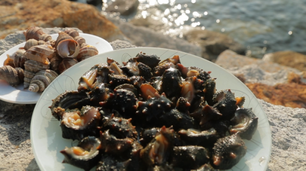 ▲'신계숙의 맛터사이클 다이어리'(사진제공=EBS1)