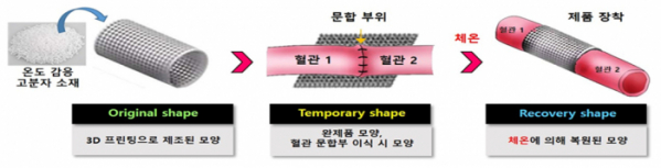 ▲혈관 문합부 협착 방지 및 맥관 재생용 시제품 작용원리 (사진제공=티엠디랩)