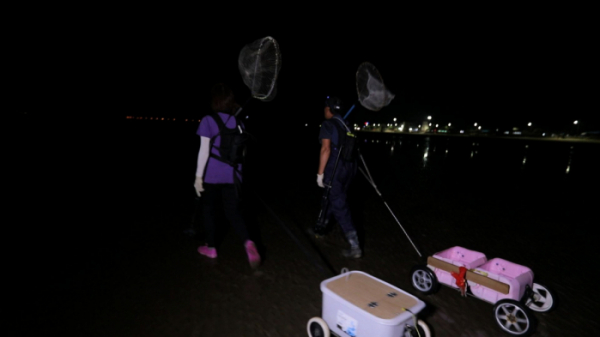 ▲EBS '한국기행'(사진제공=EBS1)