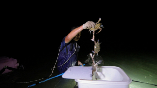 ▲EBS '한국기행'(사진제공=EBS1)