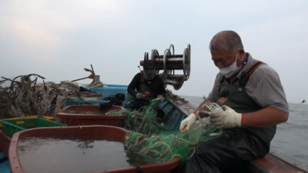 ▲'다큐 잇it' 바다쓰레기(사진제공=EBS1)