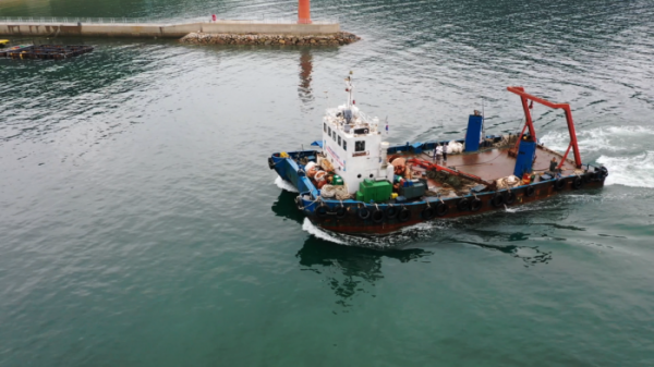 ▲'다큐 잇it' 바다쓰레기(사진제공=EBS1)