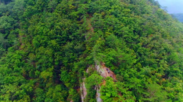 ▲'영상앨범 산'(사진제공=KBS 2TV)