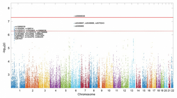 ▲아밀로이드 및 타우 단백질과 독립적으로 인지저하를 일으키는 유전인자를 보여주는그림 (카이스트 제공)