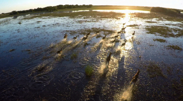 ▲'세계테마기행' 잠비아(사진제공=EBS1)
