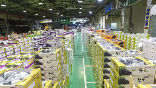 ▲EBS '극한직업'(사진제공=EBS1)