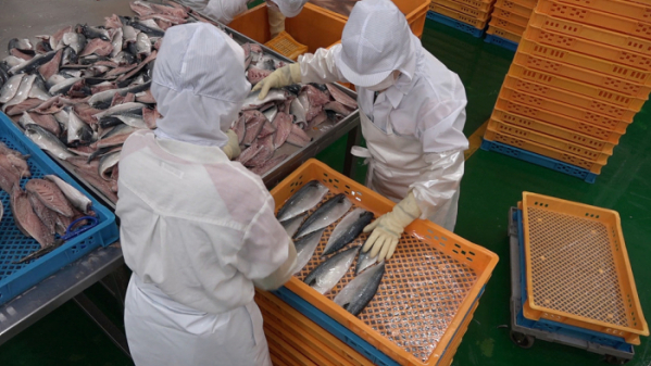 ▲EBS '극한직업'(사진제공=EBS1)