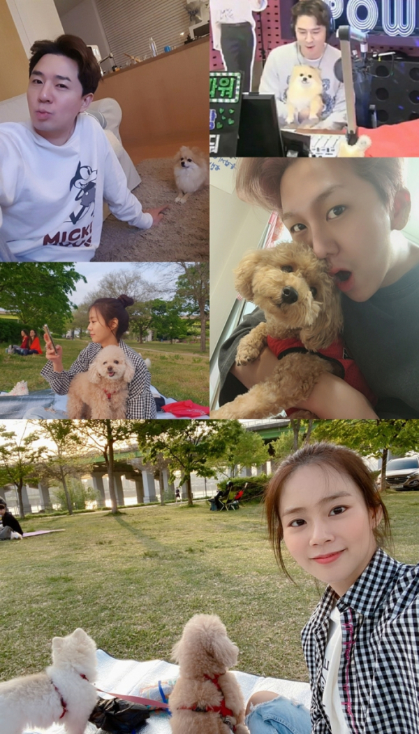 ▲‘펫 비타민’ MC 붐, 한승연, 김수찬(사진제공=KBS 2TV)