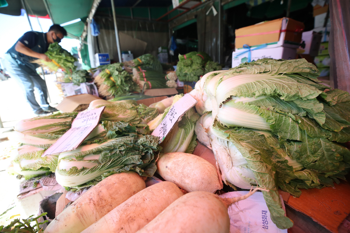 ▲사진=연합뉴스