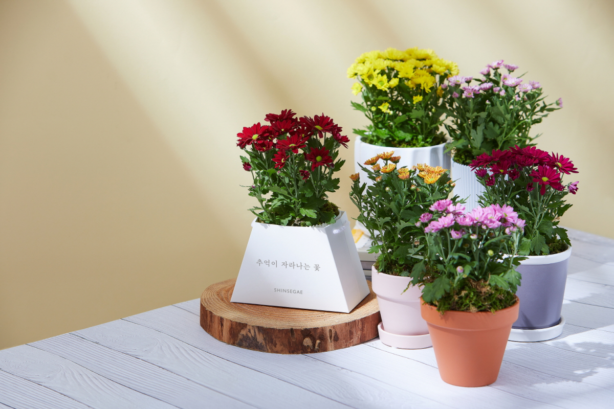 (사진제공=신세계백화점)