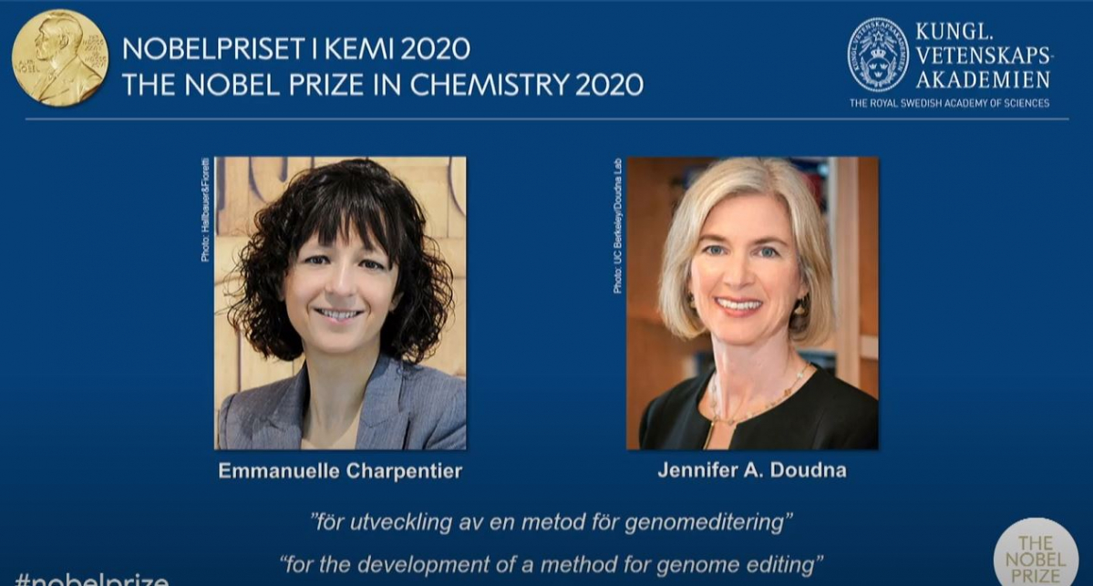 ▲출처=노벨위원회 유튜브 채널 캡쳐