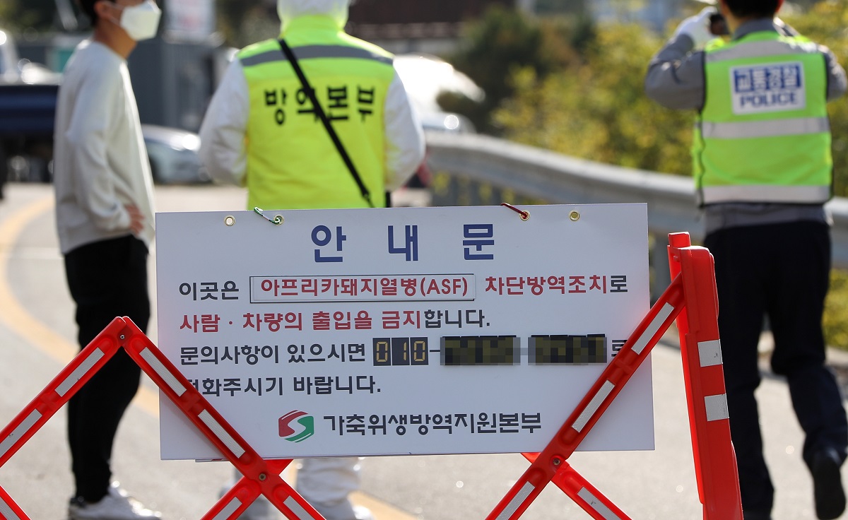 ▲강원 화천군 한 양돈 농가에서 아프리카돼지열병(ASF)이 발병한 것이 확인된 9일 해당 농가에서 방역당국 관계자들이 농장 입구를 통제하고 있다. (연합뉴스)