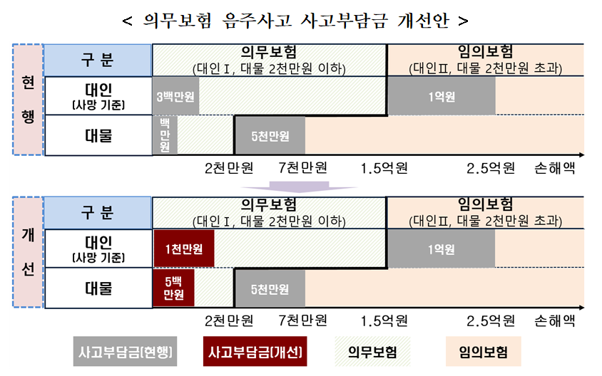 (자료제공=금융감독원)