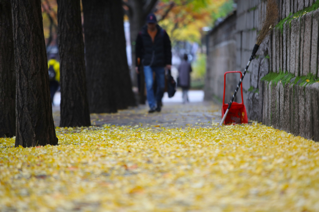 ▲가을비가 내린 이달 서울 중구 덕수궁 돌담길. (연합뉴스)