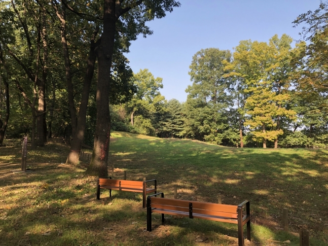 ▲화성 융릉·건릉 초장지 숲길. (사진제공=문화재청)