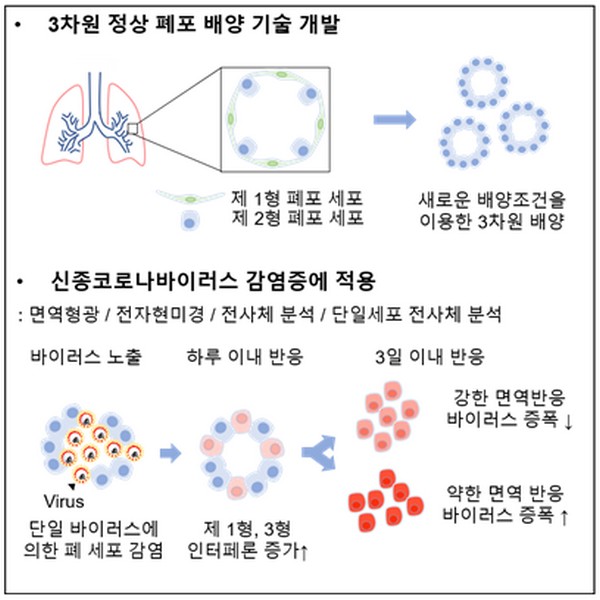 ▲연구 요약도. (사진제공=한국과학기술원)