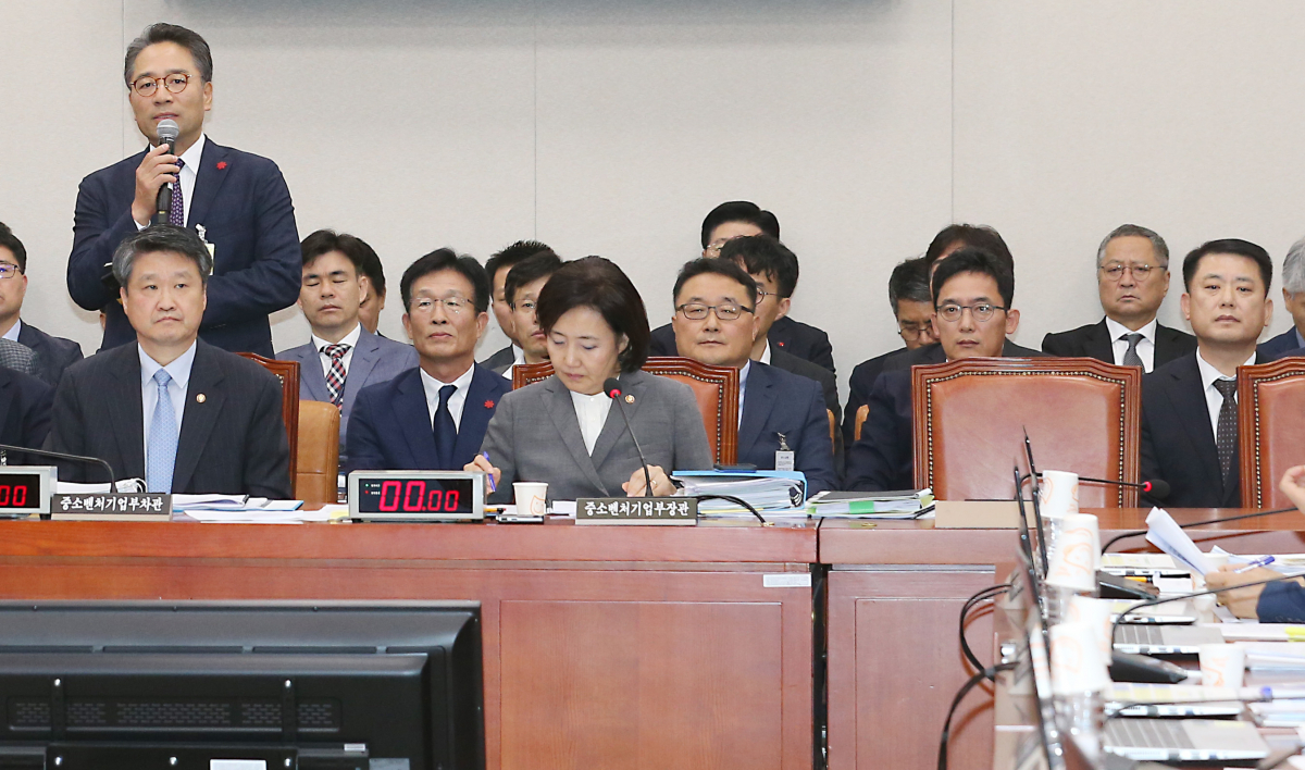 ▲지난해 서울 여의도 국회에서 열린 산업통상자원중소벤처기업위원회의 중소벤처기업부의 국정감사에서 증인으로 출석한 임영록 신세계프라퍼티 대표가 답변하고 있다. (뉴시스)