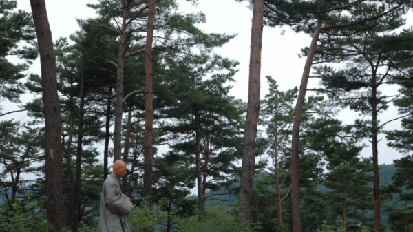 ▲EBS '한국기행'(사진제공=EBS1)
