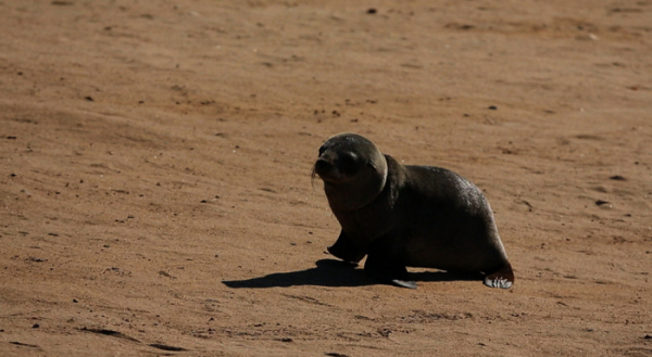 ▲'세계테마기행'(사진제공=EBS1)