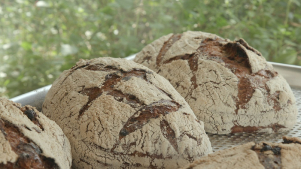 ▲'다큐온'(사진제공=KBS 1TV)