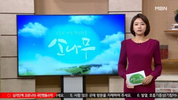 ▲MBN '소나무' (사진제공=MBN)