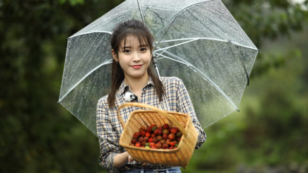 ▲'힐링다큐 나무야 나무야'(사진제공=KBS 1TV)