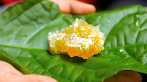 ▲'세계테마기행' (사진제공=EBS1)