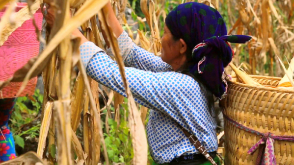 ▲'세계테마기행' 베트남(사진제공=EBS1)