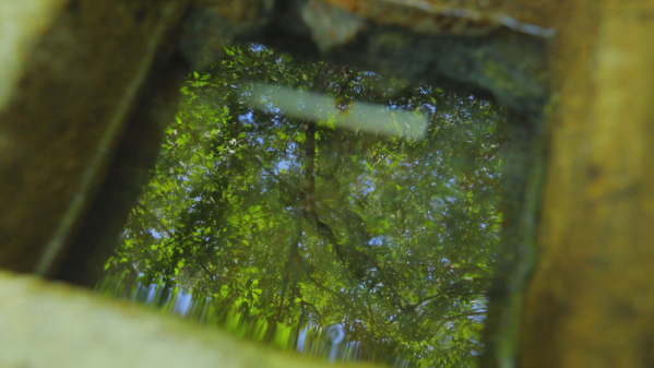 ▲EBS '한국기행' 경남 고성(사진제공=EBS1)